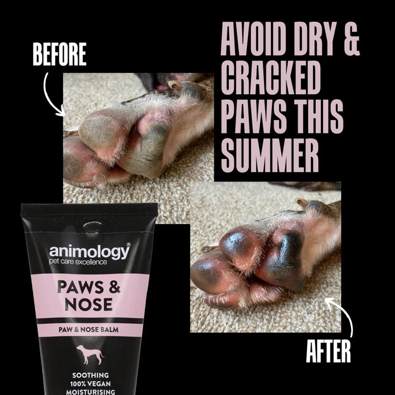 Animology Paws & Nose Balm 50 ml - Afbeelding 3