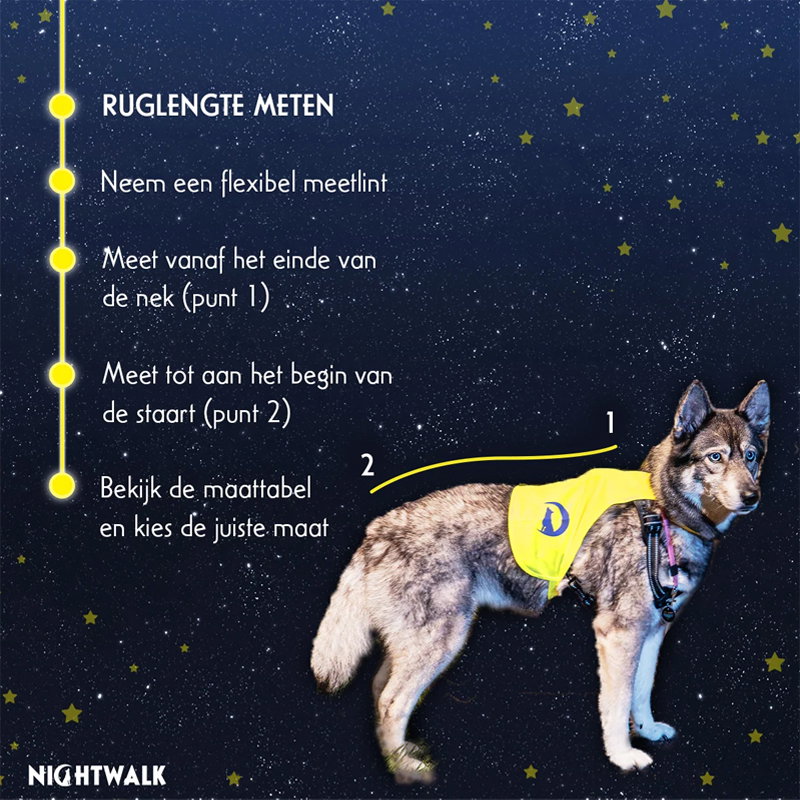 Nightwalk Safety Vest Large - Afbeelding 2