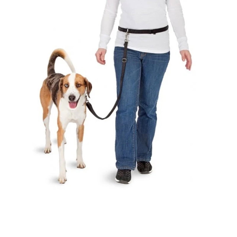 Pawise Hands Free Doggy Jogger Kit - Afbeelding 2