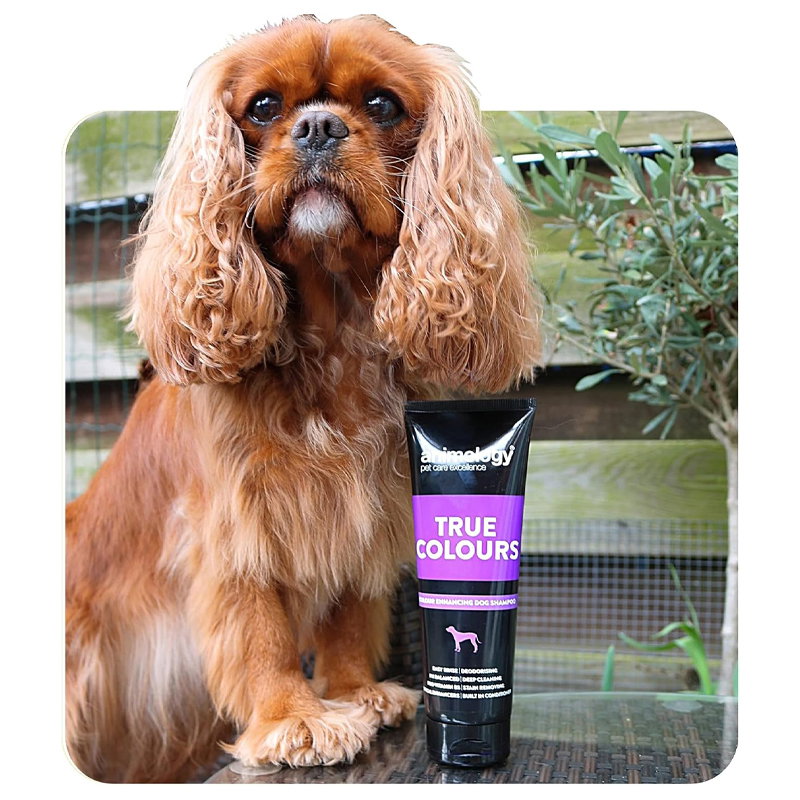 Animology True Colours Dog Shampoo - Afbeelding 4