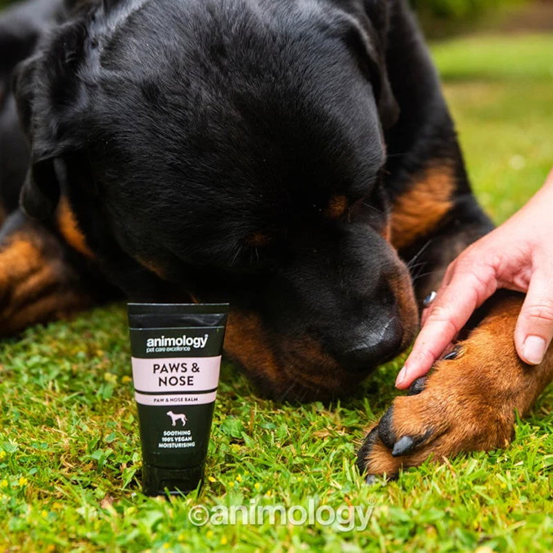 Animology Paws & Nose Balm 50 ml - Afbeelding 4