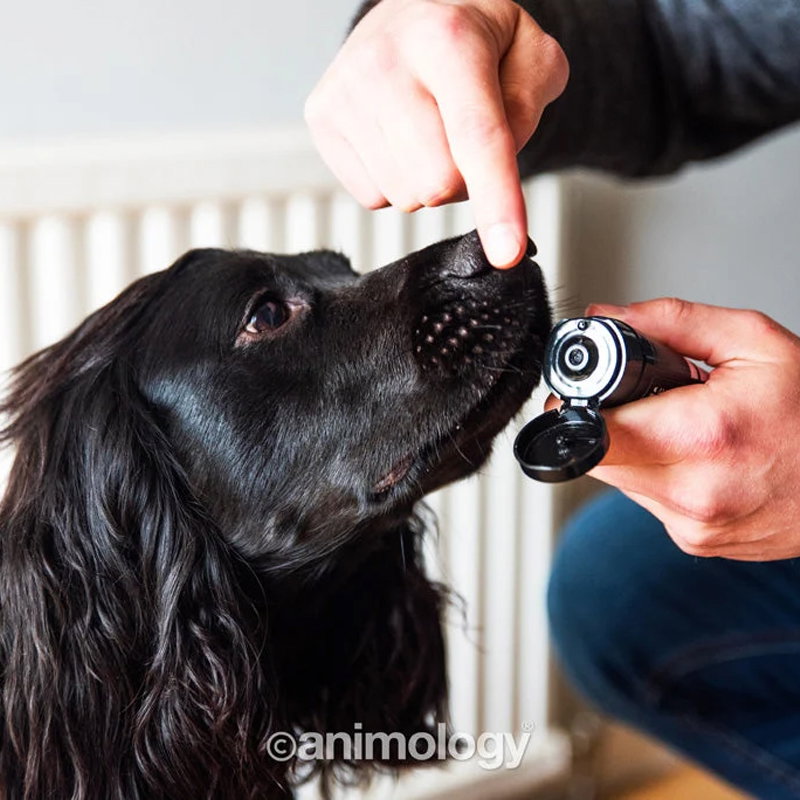 Animology Paws & Nose Balm 50 ml - Afbeelding 5