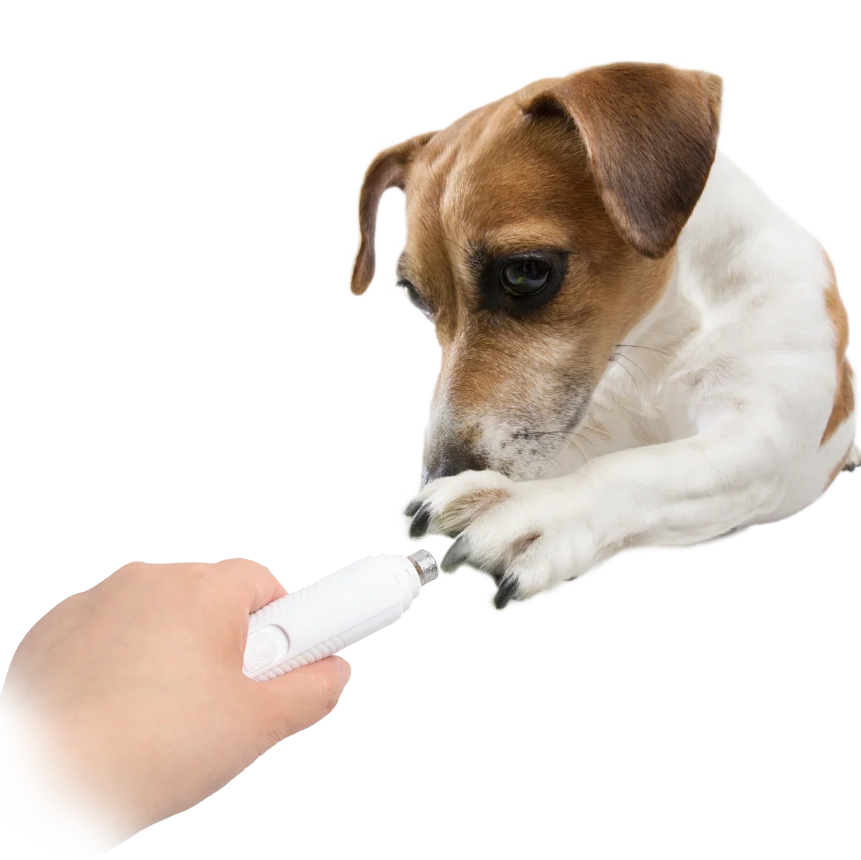 AFP Pet Salon Nail Grinder - Afbeelding 3
