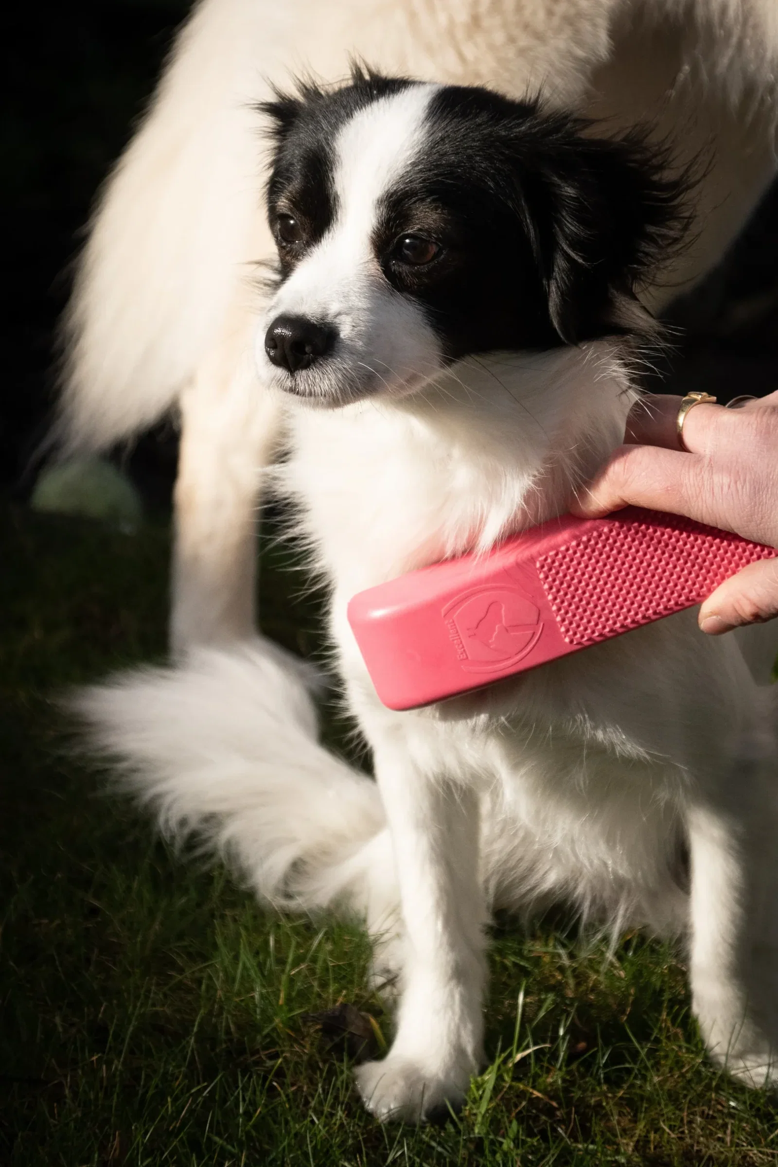 Excellent Pets Grooming Brush Medium Roze - Afbeelding 3