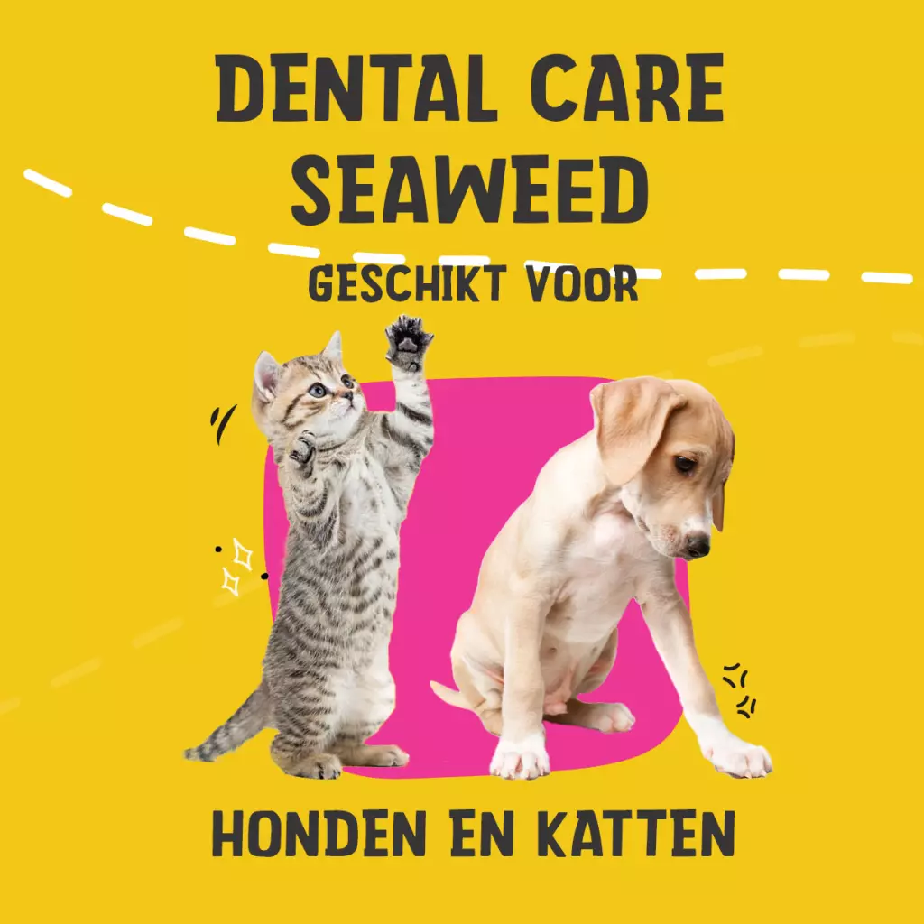 Dental Care Seaweed 75gr - Afbeelding 5