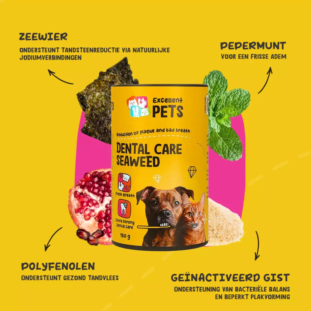 Dental Care Seaweed 75gr - Afbeelding 2