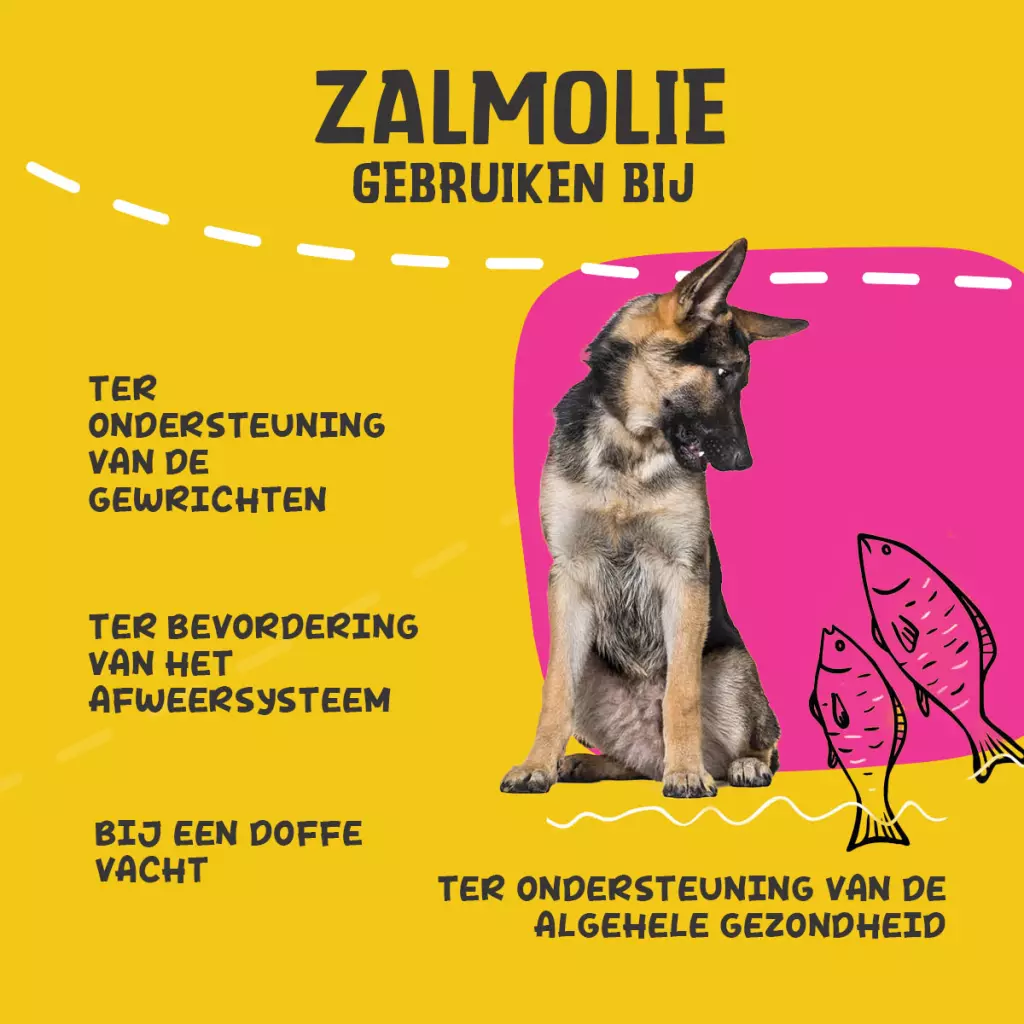 Excellent Pets Dog Salmon Oil 250ml - Afbeelding 2