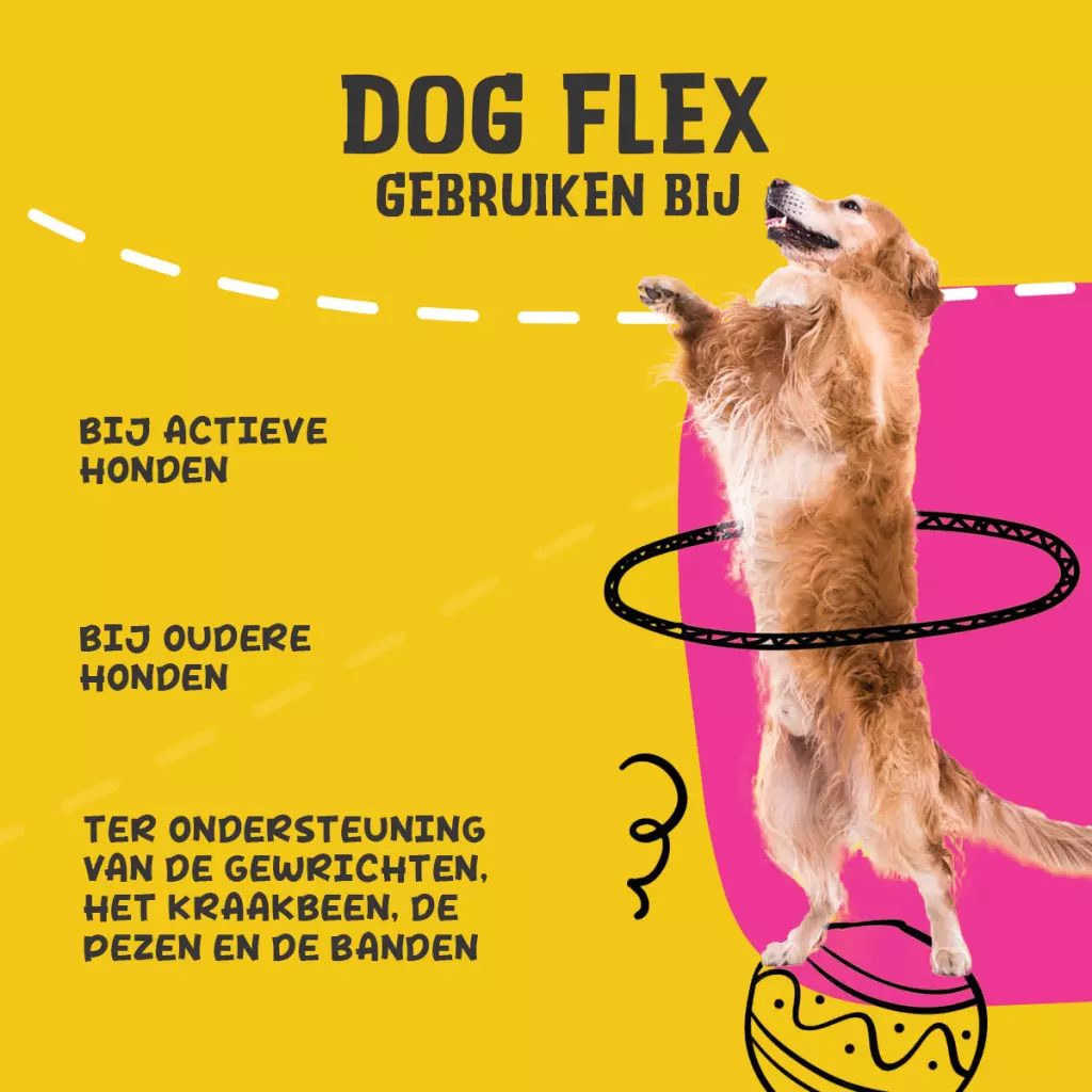 Excellent Pets Dog Flex 500ml - Afbeelding 6