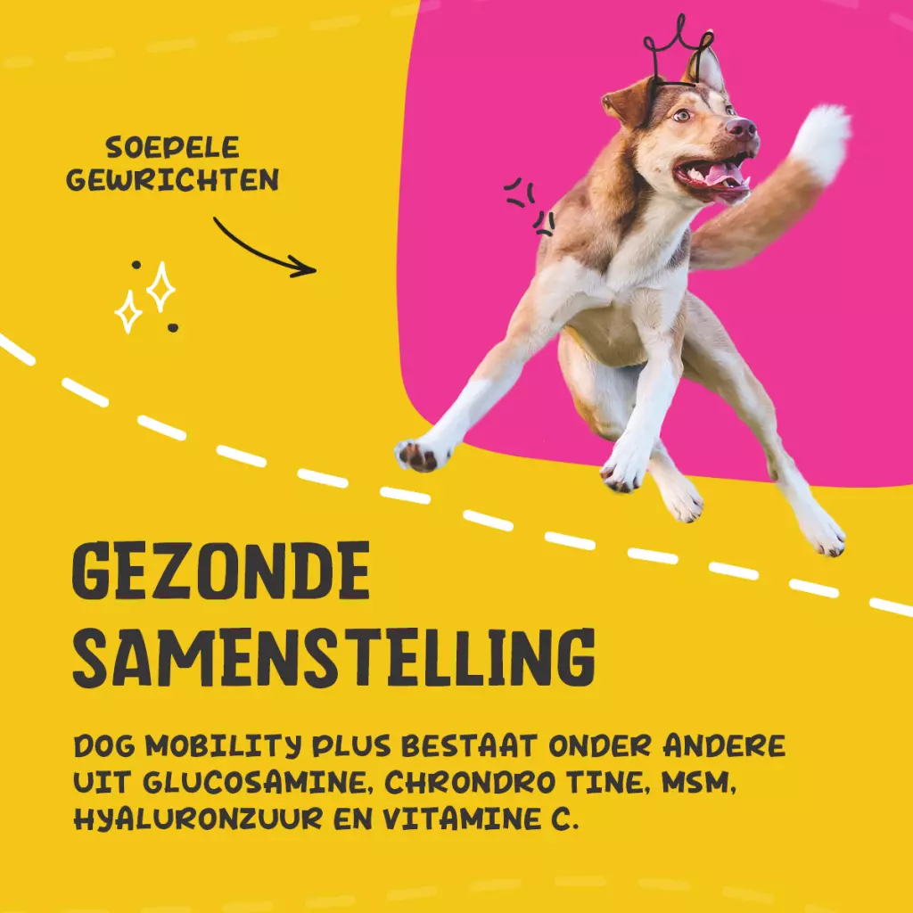Excellent Pets Dog Mobility+ 100gr - Afbeelding 3