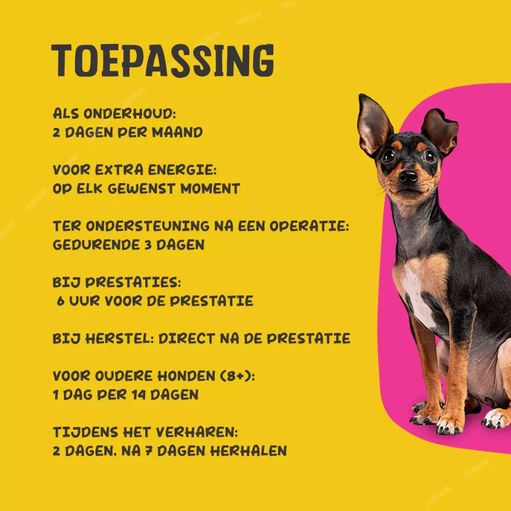 Excellent Pets Vital Total 50 ml - Afbeelding 6