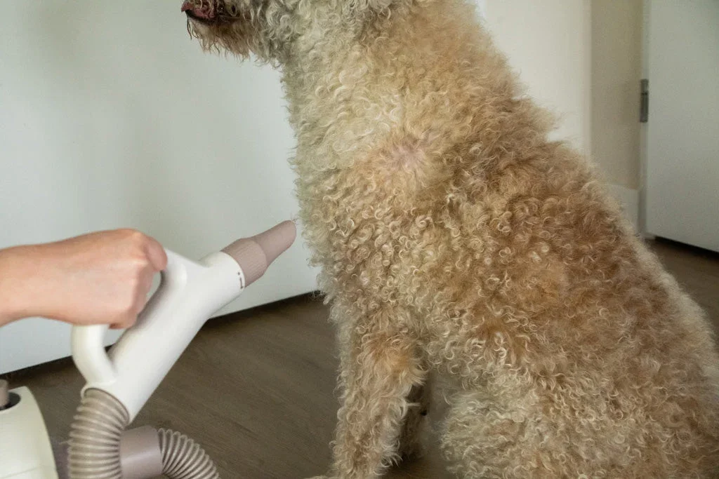 Groomers Secret Pet Hair Dryer - Afbeelding 4