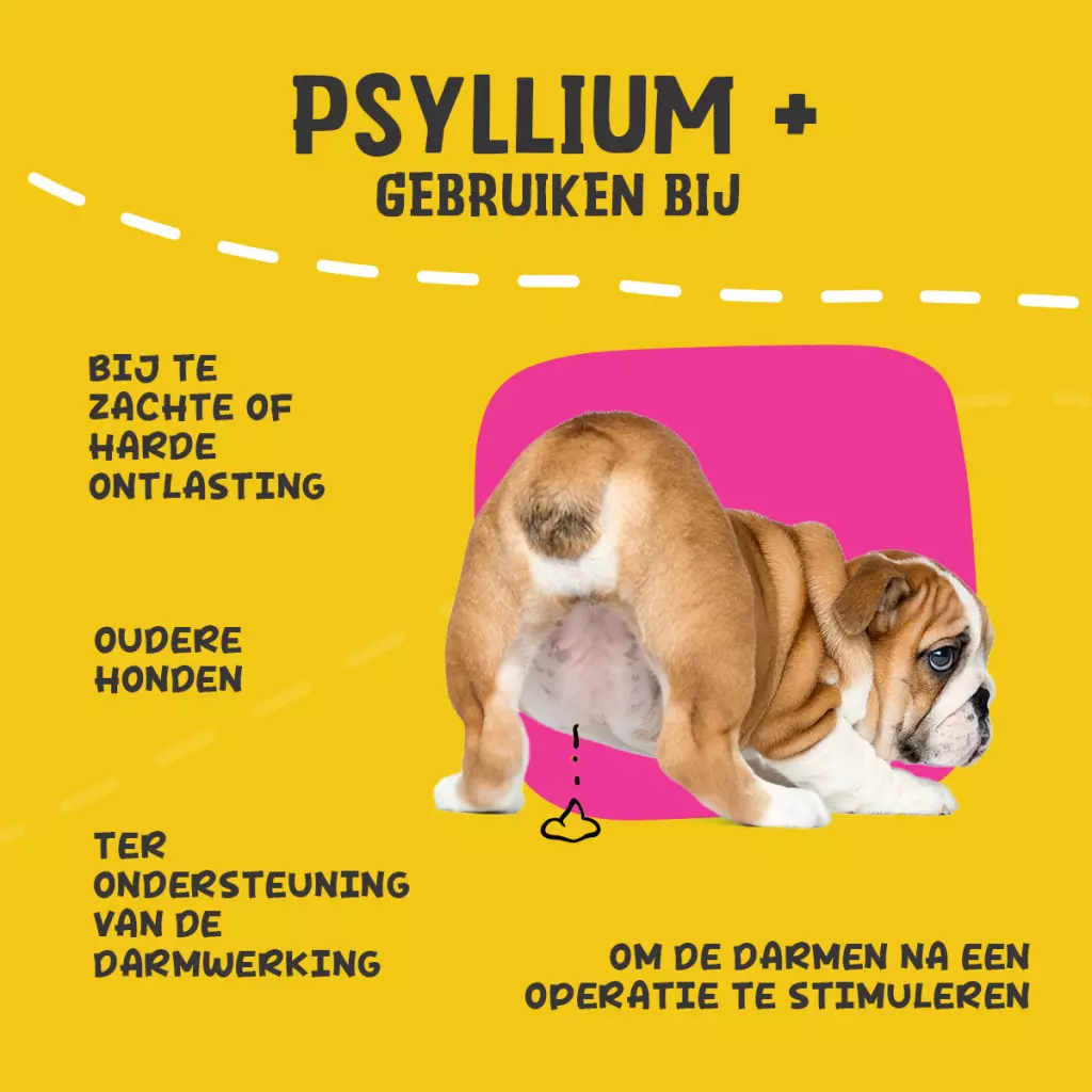 Excellent Pets Dog Psyllium+ 100 g - Afbeelding 2