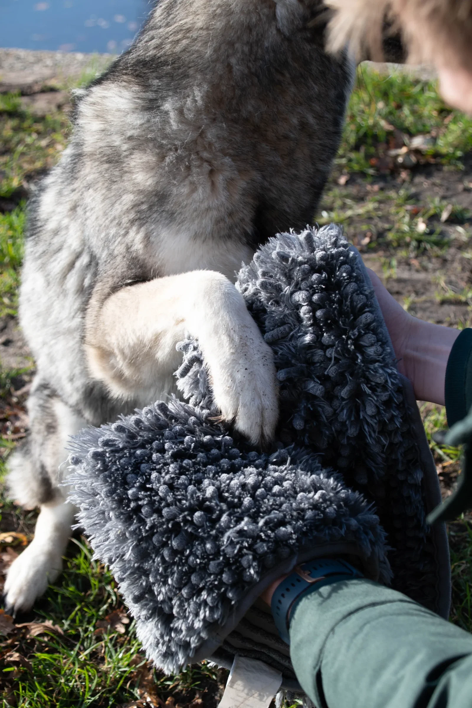 Royal Dry Handdoek Voor Honden - Afbeelding 5