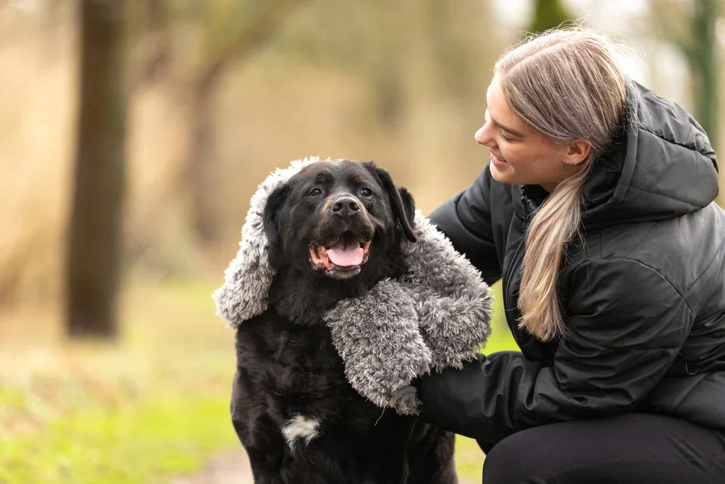 Royal Dry Handdoek Voor Honden - Afbeelding 7
